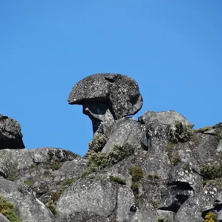 Landhuis Casa Lagar Do Miradoyro *