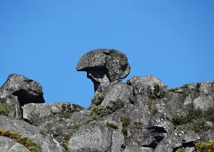 Летний дом Casa Lagar Do Miradoyro *